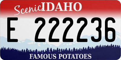 ID license plate E222236