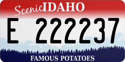ID license plate E222237