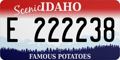 ID license plate E222238
