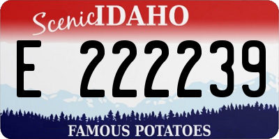 ID license plate E222239