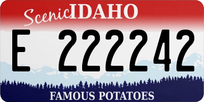 ID license plate E222242