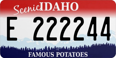 ID license plate E222244