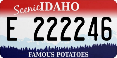 ID license plate E222246
