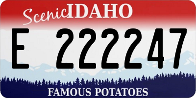 ID license plate E222247