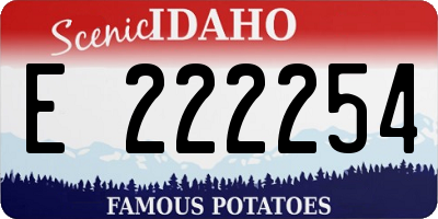 ID license plate E222254