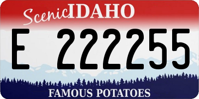 ID license plate E222255