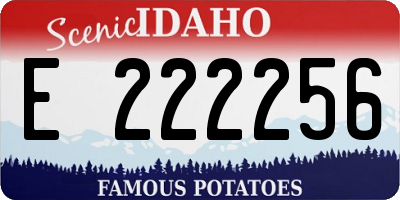 ID license plate E222256