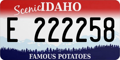 ID license plate E222258