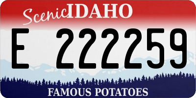 ID license plate E222259