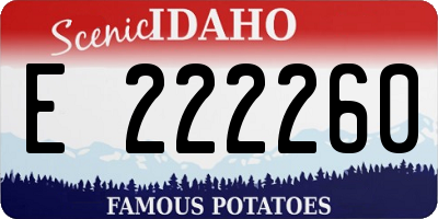 ID license plate E222260