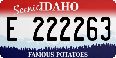 ID license plate E222263
