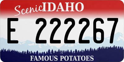 ID license plate E222267
