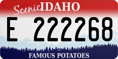 ID license plate E222268