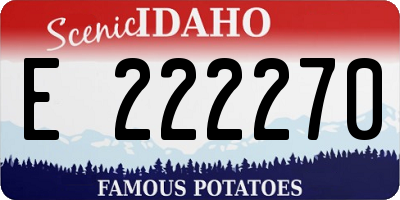 ID license plate E222270