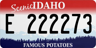 ID license plate E222273