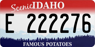 ID license plate E222276