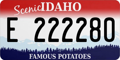 ID license plate E222280