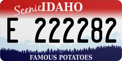 ID license plate E222282