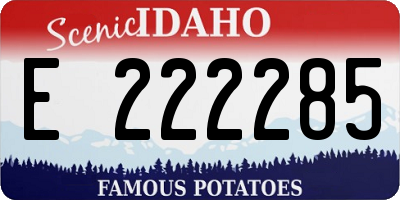 ID license plate E222285