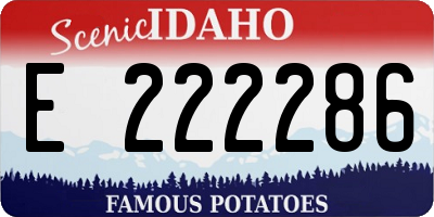 ID license plate E222286