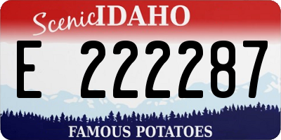 ID license plate E222287