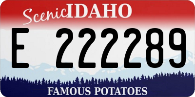 ID license plate E222289
