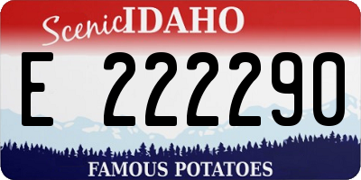 ID license plate E222290