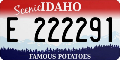 ID license plate E222291
