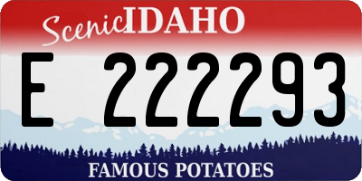 ID license plate E222293
