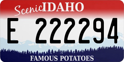 ID license plate E222294