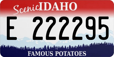 ID license plate E222295