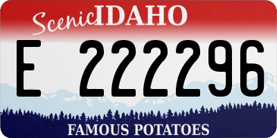 ID license plate E222296