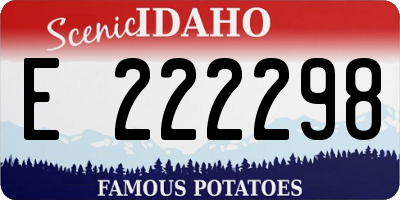 ID license plate E222298