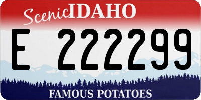 ID license plate E222299