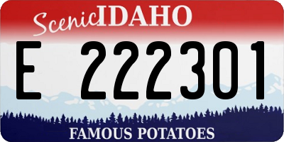 ID license plate E222301