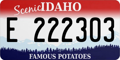ID license plate E222303