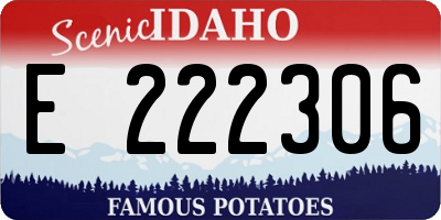 ID license plate E222306
