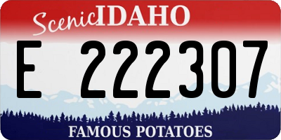 ID license plate E222307