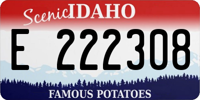 ID license plate E222308