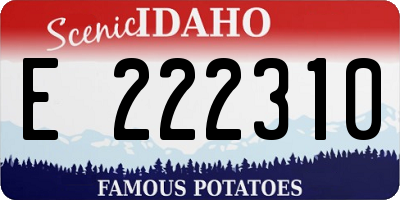 ID license plate E222310