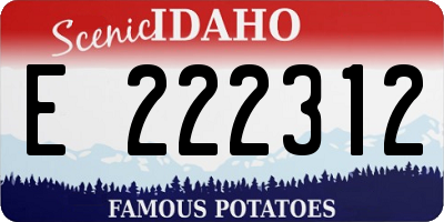 ID license plate E222312
