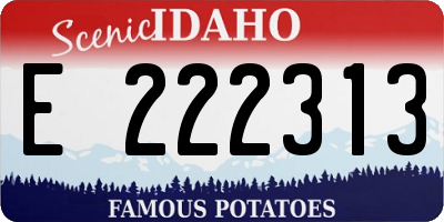 ID license plate E222313