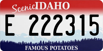 ID license plate E222315