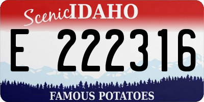 ID license plate E222316