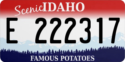 ID license plate E222317