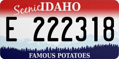 ID license plate E222318