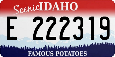 ID license plate E222319