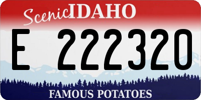 ID license plate E222320