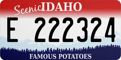 ID license plate E222324