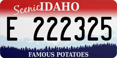 ID license plate E222325